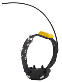 Dogtra Pathfinder 2 COMPASS Handheld GPS + E-Collar COMBO