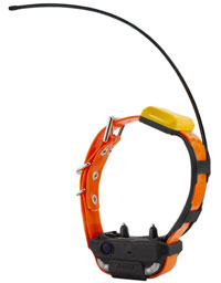 Dogtra Pathfinder 2 COMPASS Handheld GPS + E-Collar COMBO