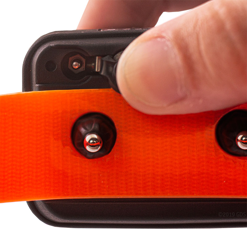 MOPIX Dogtra T&B Dual Collar Charging Port.