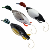 buy Dokken Ducks -- Deadfowl Retriever Trainers