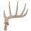 Dokkens Large Plastic Shed Deer Antler
