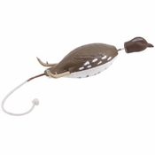 Dokkens Dead Fowl Trainers - Bobwhite Quail