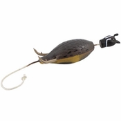 Dokkens Dead Fowl Trainers - Gambel Quail