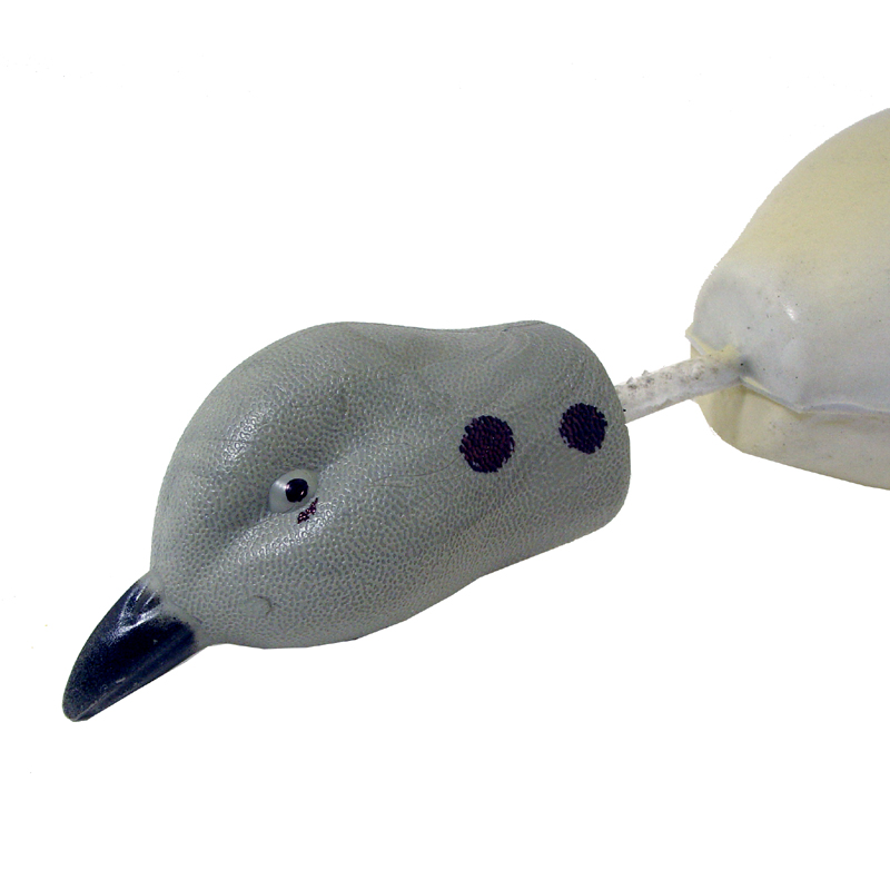 Dove Head Detail