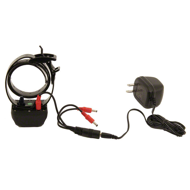 DT R.A.P.T. 1400 Receiver Collar on Charger