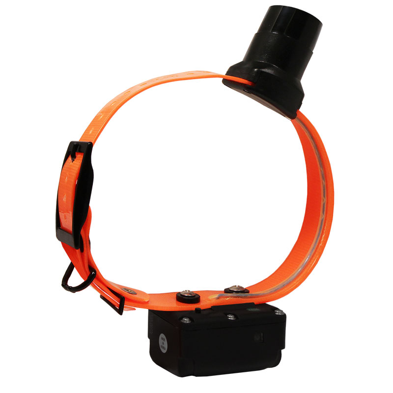 DT Systems BTB800 Double Beep Baritone Beeper Collar. 99.95 (Save 25