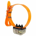 DT Systems Super Pro Ranger SPR 5000 LR Add-On Collar