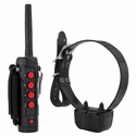 DT Systems Super Pro Ranger 5100 Remote Training Collar