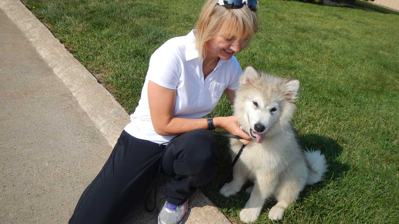 ECollar Training Be Sure to Do This Before You Go Off Leash.