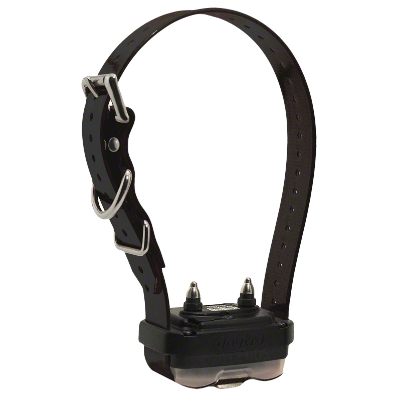Edge 1 mile Add-A-Dog Black