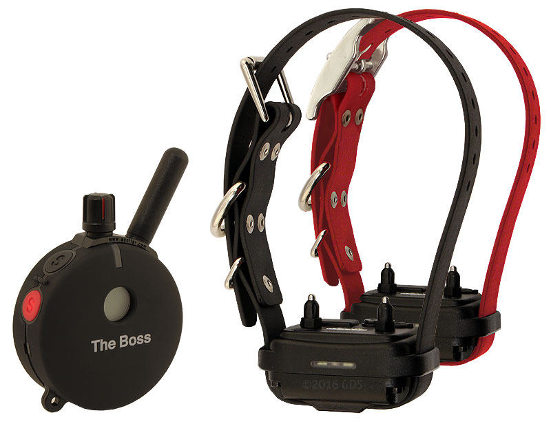 Educator "The Boss" ET802TS Remote Training Collar 2dog. 399.99