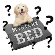  shop EXTRA LARGE Bizzy Beds&#174; Dog Bed -- MYSTERY BED!