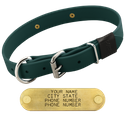 FOREST GREEN BIG DAWG 1 in. Biothane D-End Collar