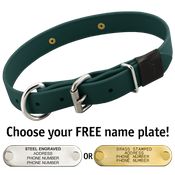  shop FOREST GREEN BIG DAWG 1 in. Biothane D-End Collar