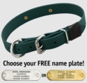 FOREST GREEN BIG DAWG 1 in. Biothane D-End Collar