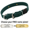 FOREST GREEN BIG DAWG 1 in. Biothane D-End Collar