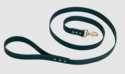 FOREST GREEN BIG DAWG 6 ft. Biothane Snap Lead
