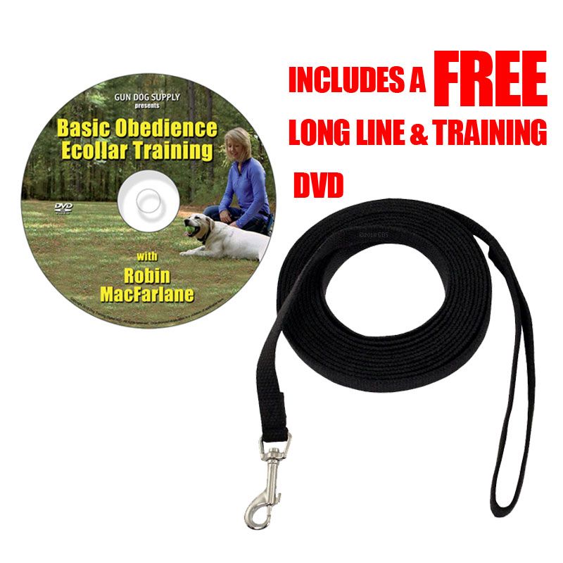 Dogtra iQ Plus Small Dog Training Collar 2dog Gun Dog Supply