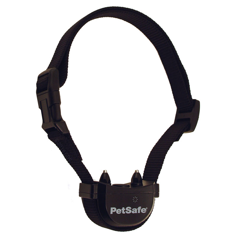 Stay + Play Collar