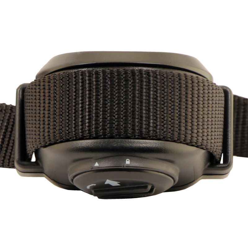 Stay + Play Collar Bottom