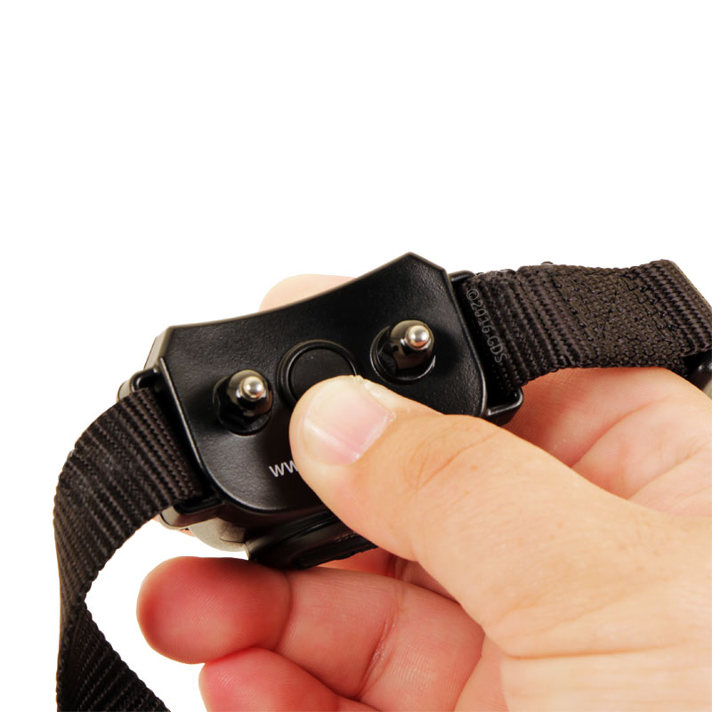 Stay + Play Collar On / Off Button