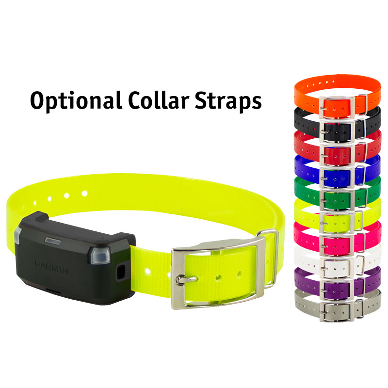 Garmin Alpha LTE Collar Strap Color Options
