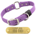 AMETHYST PURPLE BIG DAWG 1 in. Biothane O-Ring Collar