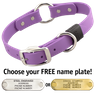 AMETHYST PURPLE BIG DAWG 1 in. Biothane O-Ring Collar