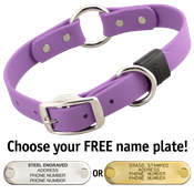  shop AMETHYST PURPLE BIG DAWG 1 in. Biothane O-Ring Collar