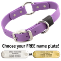AMETHYST PURPLE BIG DAWG 1 in. Biothane O-Ring Collar