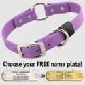 AMETHYST PURPLE BIG DAWG 1 in. Biothane O-Ring Collar