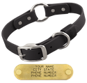 BLACK BIG DAWG 1 in. Biothane O-Ring Collar