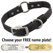  shop BLACK BIG DAWG 1 in. Biothane O-Ring Collar