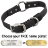 BLACK BIG DAWG 1 in. Biothane O-Ring Collar