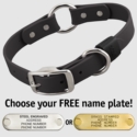 BLACK BIG DAWG 1 in. Biothane O-Ring Collar