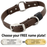 CHOCOLATE BROWN BIG DAWG 1 in. Biothane O-Ring Collar