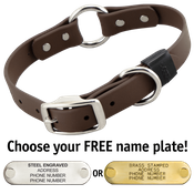  shop CHOCOLATE BROWN BIG DAWG 1 in. Biothane O-Ring Collar