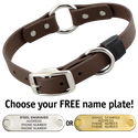 CHOCOLATE BROWN BIG DAWG 1 in. Biothane O-Ring Collar