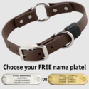 CHOCOLATE BROWN BIG DAWG 1 in. Biothane O-Ring Collar