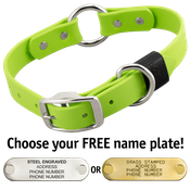  shop GREEN APPLE BIG DAWG 1 in. Biothane O-Ring Collar