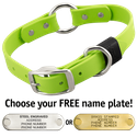 GREEN APPLE BIG DAWG 1 in. Biothane O-Ring Collar