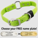 GREEN APPLE BIG DAWG 1 in. Biothane O-Ring Collar