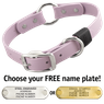 LILAC PURPLE BIG DAWG 1 in. Biothane O-Ring Collar