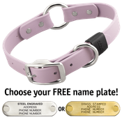  shop LILAC PURPLE BIG DAWG 1 in. Biothane O-Ring Collar