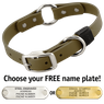 OLIVE GREEN BIG DAWG 1 in. Biothane O-Ring Collar