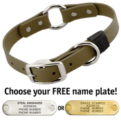  shop OLIVE GREEN BIG DAWG 1 in. Biothane O-Ring Collar
