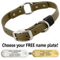 OLIVE GREEN BIG DAWG 1 in. Biothane O-Ring Collar