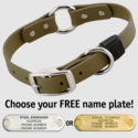 OLIVE GREEN BIG DAWG 1 in. Biothane O-Ring Collar