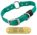 TEAL BIG DAWG 1 in. Biothane O-Ring Collar