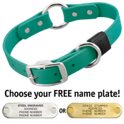  shop TEAL BIG DAWG 1 in. Biothane O-Ring Collar
